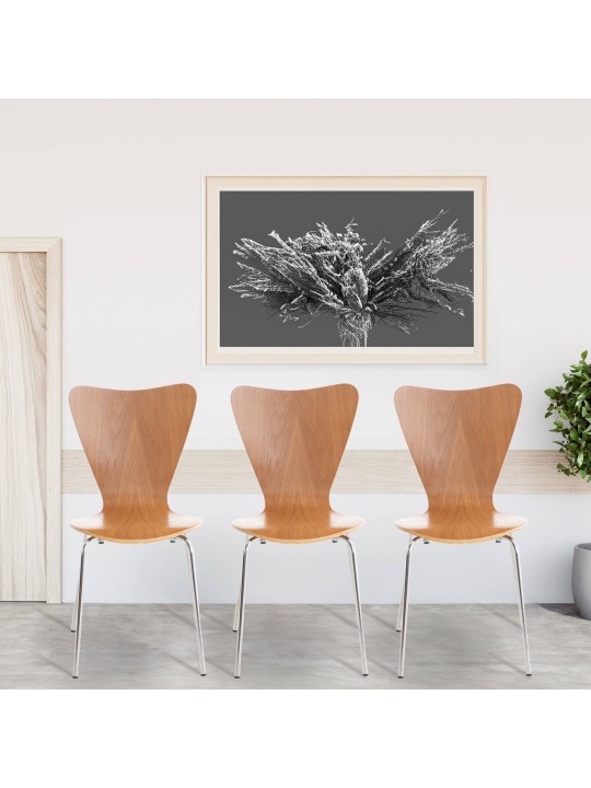 Scaun vizitator Calisto, stejar Scaun vizitator Calisto, stejar