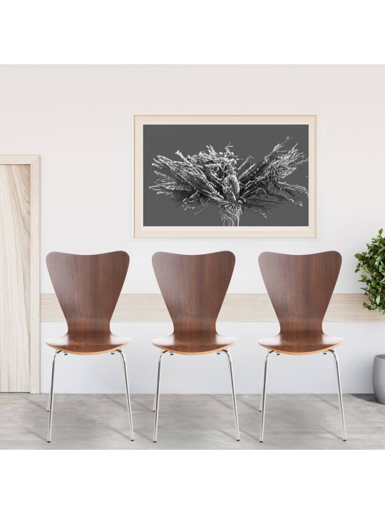 Set de 4 scaune vizitator Calisto, nuc