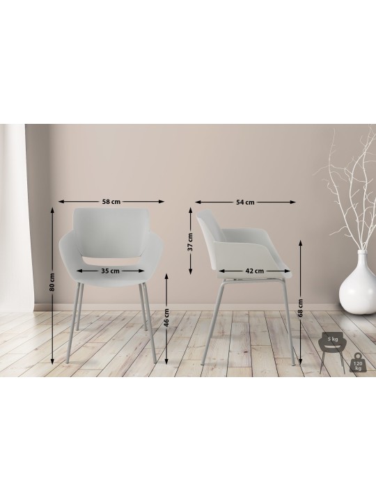 Set 2 scaune Alpena, gri deschis