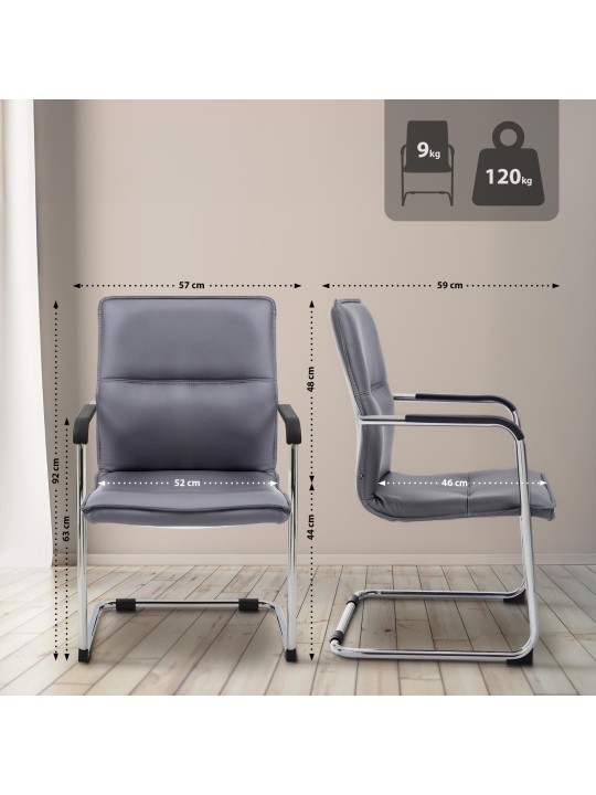 Scaun vizitator Seattle, gri